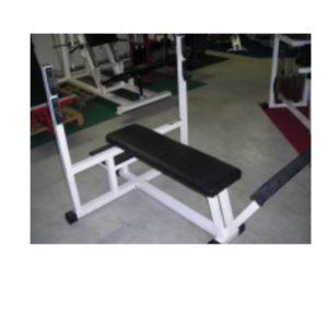 Olympic Bench Technogym