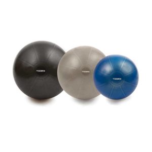 Gym Ball Toorx