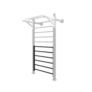 Modulo 6 Pioli per Spalliera LDX-5000 Toorx - immagine 1