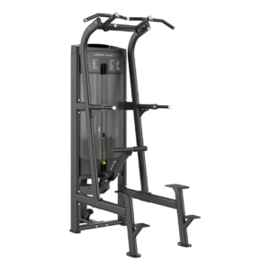 Assisted Pull Up Chin Dip Golden Line B.Power