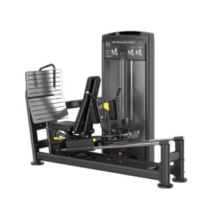 Dual Leg Press / Hack Squat Golden Line B.Power