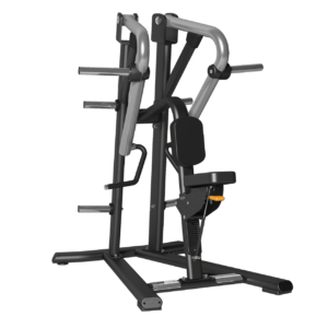 Low Row Golden Line Plate Loaded B.Power