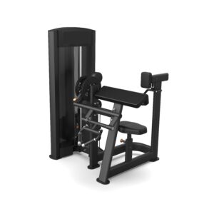 Dual Biceps Triceps Iron Line B.Power