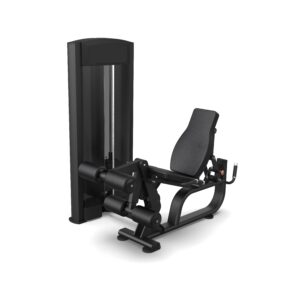 Dual Leg Extension / Curl Prono Iron Line B.Power