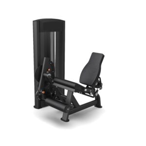Leg Extension Iron Line B.Power - immagine 1