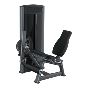 Leg Extension Iron Line B.Power - immagine 2