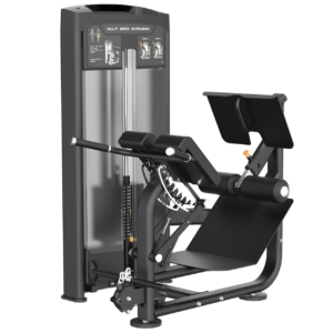 Dual 45 Hyper Extension Golden Line B.Power