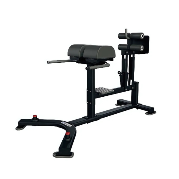 glute-ham-nautilus-inspiration-line-benches