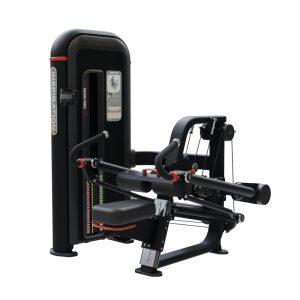 Nautilus Triceps Dip Inspiration Line