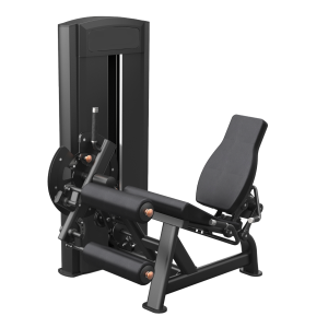 Dual Leg Extension/Curl Seated Machine Iron Line B.Power